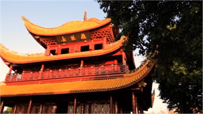 君山銀針廣告宣傳視頻