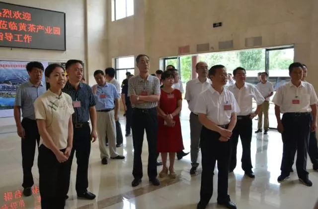 全國人大代表岳陽小組專題調研君山黃茶產業 全國人大代表岳陽小組專題調研君山黃茶產業